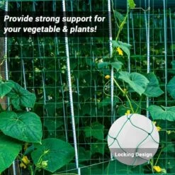 Filet à Plantes Grimpantes, Filet De Jardin, Filet D'Escalade Pour Plantes, 1,8 X 3,6m Filet De Treillis, Filet à Ramer Haricots, Treillis Jardin Filet Pour Concombre Légume Plante Grimpantes，Starlight -Protection Pour Végétaux Soldes 50941840 3