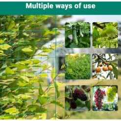 Filet à Plantes Grimpantes, Filet De Jardin, Filet D'Escalade Pour Plantes, 1,8 X 3,6m Filet De Treillis, Filet à Ramer Haricots, Treillis Jardin Filet Pour Concombre Légume Plante Grimpantes，Starlight -Protection Pour Végétaux Soldes 50941840 4