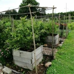 Filet De Volière Filet D'étang Contre Oiseaux Robuste Protection Fruit Plante Filet Anti-insectes En Nylon Pour Arbres Fruitiers Macaron -Protection Pour Végétaux Soldes 51437868 5