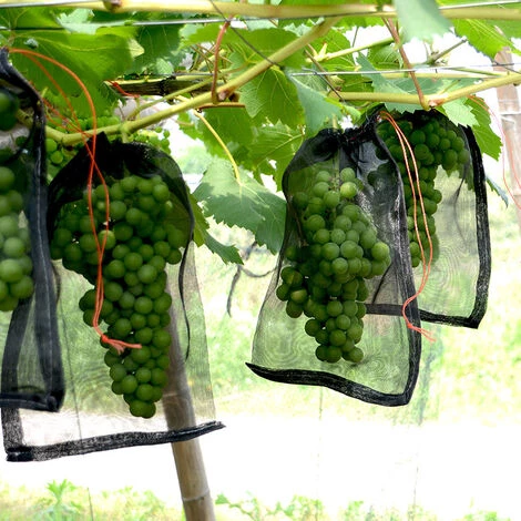 ZHUOXUAN Lot De 100 Sacs En Filet Anti-Insectes,Filet De Jardin Protection En Nylon,Sac Protection Fruits Et Plantes Réutilisables (15 X 10cm (100pcs)) 4 ZHUOXUAN Lot De 100 Sacs En Filet Anti-Insectes,Filet De Jardin Protection En Nylon,Sac Protection Fruits Et Plantes Réutilisables (15 X 10cm (100pcs)) – Image 2