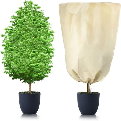 Housse Hivernage Plante, Housses De Protection Pour Plantes Avec Ajustable Cordon De Serrage, Réutilisable Voile Hivernage Plante Protection Contre Le Gel Des Palmier Et Olivier, 80 X 60 Cm Beige,Starlight 3 Housse Hivernage Plante, Housses De Protection Pour Plantes Avec Ajustable Cordon De Serrage, Réutilisable Voile Hivernage Plante Protection Contre Le Gel Des Palmier Et Olivier, 80 X 60 Cm Beige,Starlight