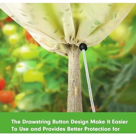 Housse Hivernage Plante, Housses De Protection Pour Plantes Avec Ajustable Cordon De Serrage, Réutilisable Voile Hivernage Plante Protection Contre Le Gel Des Palmier Et Olivier, 80 X 60 Cm Beige,Starlight 4 Housse Hivernage Plante, Housses De Protection Pour Plantes Avec Ajustable Cordon De Serrage, Réutilisable Voile Hivernage Plante Protection Contre Le Gel Des Palmier Et Olivier, 80 X 60 Cm Beige,Starlight – Image 2