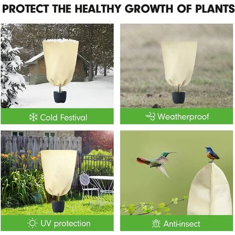 Housse Hivernage Plante, Housses De Protection Pour Plantes Avec Ajustable Cordon De Serrage, Réutilisable Voile Hivernage Plante Protection Contre Le Gel Des Palmier Et Olivier, 80 X 60 Cm Beige,Starlight 6 Housse Hivernage Plante, Housses De Protection Pour Plantes Avec Ajustable Cordon De Serrage, Réutilisable Voile Hivernage Plante Protection Contre Le Gel Des Palmier Et Olivier, 80 X 60 Cm Beige,Starlight – Image 4