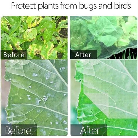 Voile D'hivernage En Rouleau Filet Anti-insectes,Filet Anti-insectes Végétal,Filet Protection Fleurs,Filet Protection Légumes,Filets Jardin Filet Légumes,Filet Protection Oiseaux,Vole Filet De Protection,Filets Jardin,Starlight (6x2.5m),Starlight 4 Voile D'hivernage En Rouleau Filet Anti-insectes,Filet Anti-insectes Végétal,Filet Protection Fleurs,Filet Protection Légumes,Filets Jardin Filet Légumes,Filet Protection Oiseaux,Vole Filet De Protection,Filets Jardin,Starlight (6x2.5m),Starlight – Image 2