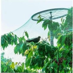 Jardin Net Protection Des Végétaux Mesh Anti Oiseaux Pour Netting Arbres Fleurs Fruits 2x5M Jeunes Plants, La Protection Des Végétaux Net,Starlight 8 Jardin Net Protection Des Végétaux Mesh Anti Oiseaux Pour Netting Arbres Fleurs Fruits 2x5M Jeunes Plants, La Protection Des Végétaux Net,Starlight -Protection Pour Végétaux Soldes 51498011 2