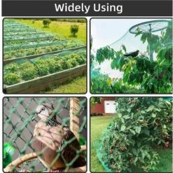 Jardin Net Protection Des Végétaux Mesh Anti Oiseaux Pour Netting Arbres Fleurs Fruits 2x5M Jeunes Plants, La Protection Des Végétaux Net,Starlight 10 Jardin Net Protection Des Végétaux Mesh Anti Oiseaux Pour Netting Arbres Fleurs Fruits 2x5M Jeunes Plants, La Protection Des Végétaux Net,Starlight -Protection Pour Végétaux Soldes 51498011 4