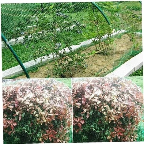 Jardin Net Protection Des Végétaux Mesh Anti Oiseaux Pour Netting Arbres Fleurs Fruits 2x5M Jeunes Plants, La Protection Des Végétaux Net,Starlight 7 Jardin Net Protection Des Végétaux Mesh Anti Oiseaux Pour Netting Arbres Fleurs Fruits 2x5M Jeunes Plants, La Protection Des Végétaux Net,Starlight – Image 5