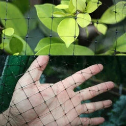 MALLOMNE Filet Anti-oiseaux Vert Pour Prot��ger Les Plantes Arbres Fruitiers Oiseaux Filet Anti-oiseaux �� Petits Yeux A -Protection Pour Végétaux Soldes 51542521 5
