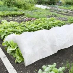 LITZEE Plant Frost Protection Fabric - 2.43*9.14 M - 40 G - Durable Fleece - Frost Protection - For Garden Plants, Vegetables, Plants - Frost Protection Cover -Protection Pour Végétaux Soldes 51554223 5