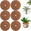 LITZEE 6pcs Noix De Coco Bucket Disc Cover Protection Contre Le Gel Protection Hivernale Pour Les Plantes En Pot Diamètre 30 Cm -Protection Pour Végétaux Soldes 51556223 1