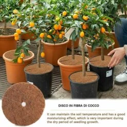 LITZEE 6pcs Noix De Coco Bucket Disc Cover Protection Contre Le Gel Protection Hivernale Pour Les Plantes En Pot Diamètre 30 Cm -Protection Pour Végétaux Soldes 51556223 4