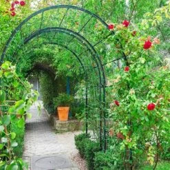 Sunshine Smile Filet Pour Plantes - 1,8 M X1.8 M - Filet De Support Pour Plantes Grimpantes - Pour Plantes Grimpantes, Serre De Jardin Irisfr Vert -Protection Pour Végétaux Soldes 52976717 4