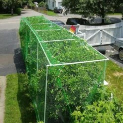 Sunshine Smile Filet Pour Plantes - 1,8 M X1.8 M - Filet De Support Pour Plantes Grimpantes - Pour Plantes Grimpantes, Serre De Jardin Irisfr Vert -Protection Pour Végétaux Soldes 52976717 5