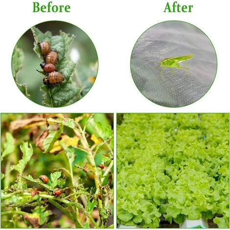 Filet De Jardin Filet Anti-Insectes Filet De Légumes, Filet Anti-Insectes De Jardin Blanc Protection Pour Plantes Fleurs Légumes Fruits Irisfr 2.5*6m 4 Filet De Jardin Filet Anti-Insectes Filet De Légumes, Filet Anti-Insectes De Jardin Blanc Protection Pour Plantes Fleurs Légumes Fruits Irisfr 2.5*6m – Image 2
