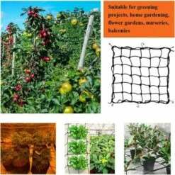 Filet Pour Salle De Culture Hydroponique, Filet De Pression Pour Plantes, Grille élastique, Filet De Support Pour Tente, Grille Avec Crochet élastique, 70cm X 70cm Irisfr Noir 10 Filet Pour Salle De Culture Hydroponique, Filet De Pression Pour Plantes, Grille élastique, Filet De Support Pour Tente, Grille Avec Crochet élastique, 70cm X 70cm Irisfr Noir -Protection Pour Végétaux Soldes 52976754 4