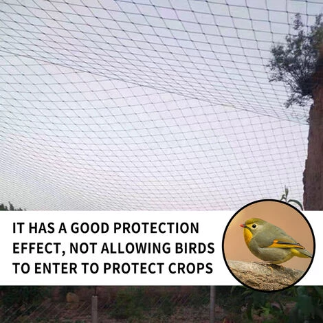 LIFCAUSAL Filet Anti-Oiseaux, Dispositifs De Culture Arbre Fruitier Jardinage Plante Clôture Filet De Protection De Fruits Légumes, Nylon Haute Résistance Anti-Fading Coupe-Vent Résistant Au Soleil, Y Compris Attaches De Câble, Noir 5 LIFCAUSAL Filet Anti-Oiseaux, Dispositifs De Culture Arbre Fruitier Jardinage Plante Clôture Filet De Protection De Fruits Légumes, Nylon Haute Résistance Anti-Fading Coupe-Vent Résistant Au Soleil, Y Compris Attaches De Câble, Noir – Image 3