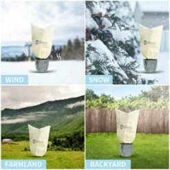 Sekey Housse D'hivernage Non Tissée 80g/m² Pour Plante, Beige 80x60cm 9 Sekey Housse D'hivernage Non Tissée 80g/m² Pour Plante, Beige 80x60cm -Protection Pour Végétaux Soldes 53054792 3