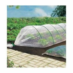 FABRE GRAINES BETTERAVE ALTO F1