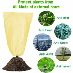 SUPERMARKET 2 PCS Housse D'Hivernage, Voile DHivernage, Housse Hivernage Pour Plantes, Housse Hivernage, Housse D Hivernage, Housse D'Hivernage Pour Plante, Housses De Protection Pour Plantes 100x80 Cm,beige，Superma -Protection Pour Végétaux Soldes 53315068 3