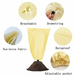 SUPERMARKET 2 PCS Housse D'Hivernage, Voile DHivernage, Housse Hivernage Pour Plantes, Housse Hivernage, Housse D Hivernage, Housse D'Hivernage Pour Plante, Housses De Protection Pour Plantes 100x80 Cm,beige，Superma -Protection Pour Végétaux Soldes 53315068 4