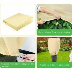 SUPERMARKET 2 PCS Housse D'Hivernage, Voile DHivernage, Housse Hivernage Pour Plantes, Housse Hivernage, Housse D Hivernage, Housse D'Hivernage Pour Plante, Housses De Protection Pour Plantes 100x80 Cm,beige，Superma -Protection Pour Végétaux Soldes 53315068 5