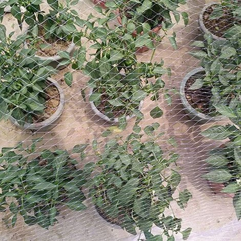 SUPERMARKET Filet Anti Oiseaux En Maille Filet De Protection Jardin, Filet Anti Pigeon Est Idéal Pour Prévenir Les Oiseaux Et Les Gros Insectes 3 × 7m,blanc,Superma 7 SUPERMARKET Filet Anti Oiseaux En Maille Filet De Protection Jardin, Filet Anti Pigeon Est Idéal Pour Prévenir Les Oiseaux Et Les Gros Insectes 3 × 7m,blanc,Superma – Image 5