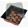 WINDHAGER Serre Avec 12 Pastilles 19 X 19,5 X 11cm 2 WINDHAGER Serre Avec 12 Pastilles 19 X 19,5 X 11cm -Protection Pour Végétaux Soldes 53420647 1