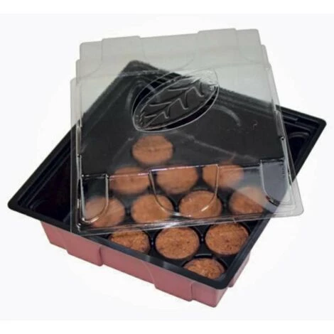 WINDHAGER Serre Avec 12 Pastilles 19 X 19,5 X 11cm 3 WINDHAGER Serre Avec 12 Pastilles 19 X 19,5 X 11cm