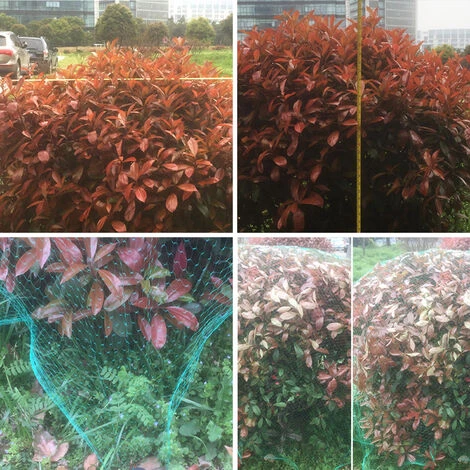 LIFCAUSAL Filet De Jardin, Filet Anti-oiseaux Filet Anti-oiseaux Filet De Protection Réutilisable Clôture Protégez Les Plantes Arbres Fruits Légumes Des Oiseaux Cerfs 7 LIFCAUSAL Filet De Jardin, Filet Anti-oiseaux Filet Anti-oiseaux Filet De Protection Réutilisable Clôture Protégez Les Plantes Arbres Fruits Légumes Des Oiseaux Cerfs – Image 5