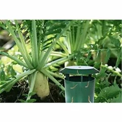 TANABATA Pièges à Limaces Escargots, Anti Limaces Et Escargots Sans Poison, Piège à Bière Sans Produits Chimiques - Sans Danger Pour Les Enfants Et Les Animaux Domestiques, Simples à Utiliser, Lot De 8 9 TANABATA Pièges à Limaces Escargots, Anti Limaces Et Escargots Sans Poison, Piège à Bière Sans Produits Chimiques - Sans Danger Pour Les Enfants Et Les Animaux Domestiques, Simples à Utiliser, Lot De 8 -Protection Pour Végétaux Soldes 53776039 3