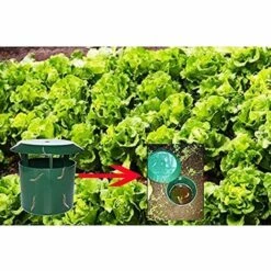 TANABATA Pièges à Limaces Escargots, Anti Limaces Et Escargots Sans Poison, Piège à Bière Sans Produits Chimiques - Sans Danger Pour Les Enfants Et Les Animaux Domestiques, Simples à Utiliser, Lot De 8 10 TANABATA Pièges à Limaces Escargots, Anti Limaces Et Escargots Sans Poison, Piège à Bière Sans Produits Chimiques - Sans Danger Pour Les Enfants Et Les Animaux Domestiques, Simples à Utiliser, Lot De 8 -Protection Pour Végétaux Soldes 53776039 4