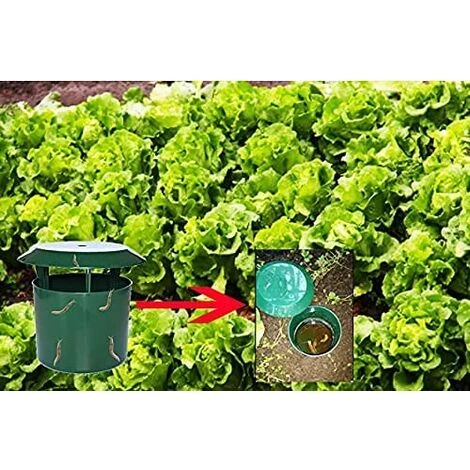 TANABATA Pièges à Limaces Escargots, Anti Limaces Et Escargots Sans Poison, Piège à Bière Sans Produits Chimiques - Sans Danger Pour Les Enfants Et Les Animaux Domestiques, Simples à Utiliser, Lot De 8 6 TANABATA Pièges à Limaces Escargots, Anti Limaces Et Escargots Sans Poison, Piège à Bière Sans Produits Chimiques - Sans Danger Pour Les Enfants Et Les Animaux Domestiques, Simples à Utiliser, Lot De 8 – Image 4