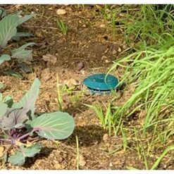 TANABATA Pièges à Limaces Escargots, Anti Limaces Et Escargots Sans Poison, Piège à Bière Sans Produits Chimiques - Sans Danger Pour Les Enfants Et Les Animaux Domestiques, Simples à Utiliser, Lot De 8 11 TANABATA Pièges à Limaces Escargots, Anti Limaces Et Escargots Sans Poison, Piège à Bière Sans Produits Chimiques - Sans Danger Pour Les Enfants Et Les Animaux Domestiques, Simples à Utiliser, Lot De 8 -Protection Pour Végétaux Soldes 53776039 5