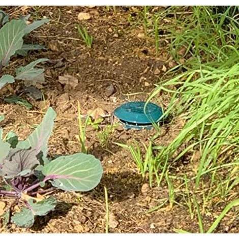 TANABATA Pièges à Limaces Escargots, Anti Limaces Et Escargots Sans Poison, Piège à Bière Sans Produits Chimiques - Sans Danger Pour Les Enfants Et Les Animaux Domestiques, Simples à Utiliser, Lot De 8 7 TANABATA Pièges à Limaces Escargots, Anti Limaces Et Escargots Sans Poison, Piège à Bière Sans Produits Chimiques - Sans Danger Pour Les Enfants Et Les Animaux Domestiques, Simples à Utiliser, Lot De 8 – Image 5