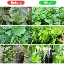 REGALI Filets Pour Jardin, Filet De Protection Contre Les Insectes Et Les Oiseaux, Multifonctionnel Plantes De Jardin Maille De Croissance Tunnel Filet, Pour Légumes Fruits Et Fleurs (2.5 X 10m) -Protection Pour Végétaux Soldes 54077596 3