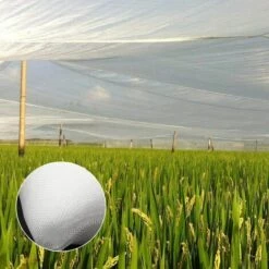 REGALI Filets Pour Jardin, Filet De Protection Contre Les Insectes Et Les Oiseaux, Multifonctionnel Plantes De Jardin Maille De Croissance Tunnel Filet, Pour Légumes Fruits Et Fleurs (2.5 X 10m) -Protection Pour Végétaux Soldes 54077596 5