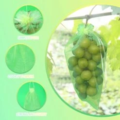 REGALI 50 Pièces Sac De Protection De Raisins, 30x20cm, Sacs Organza , Sac Protection Fruits, Filet Contre Les Insectes, Protection Et Anti-nuisibles Pour Jardin (Vert) -Protection Pour Végétaux Soldes 54079108 3