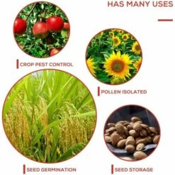 TINOR 50 Pcs Sac De Protection Fruits Résille Nylon Filets Pour Jardin Sac De Protection De Raisin 30 X 25 Cm Pour La Protection Des Végétaux Évitez Les Insectes Oiseaux Outils De Jardin 10 TINOR 50 Pcs Sac De Protection Fruits Résille Nylon Filets Pour Jardin Sac De Protection De Raisin 30 X 25 Cm Pour La Protection Des Végétaux Évitez Les Insectes Oiseaux Outils De Jardin -Protection Pour Végétaux Soldes 54497370 4