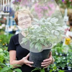 Housse De Protection Pour Plantes,Betterlife 2 Pièces Sac De Plantes 1 X 1,4 M Avec Cordon De Serrage, Filets Anti Insectes Pour Tomates Arbre Fruit Jardin -Protection Pour Végétaux Soldes 54972053 5