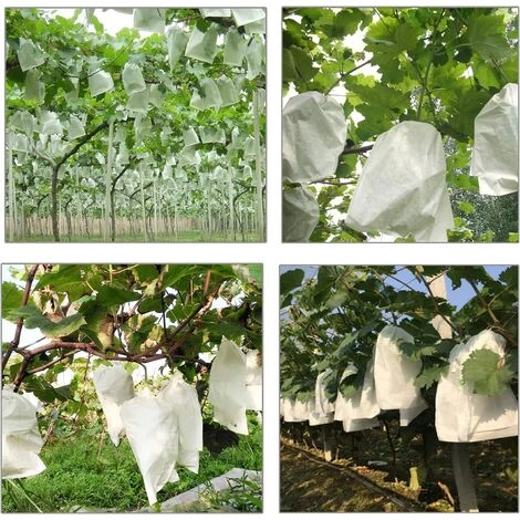 Filets De Protection Contre Insectes Et Oiseaux, Sac De Protection Des Fruits Avec Cordon, Sac De Protection Raisin, Protéger Fruits, Fleurs, Légumes, Imperméabiliser, Respirant, 30 X 20 Cm, 100 Pièces Betterlife 4 Filets De Protection Contre Insectes Et Oiseaux, Sac De Protection Des Fruits Avec Cordon, Sac De Protection Raisin, Protéger Fruits, Fleurs, Légumes, Imperméabiliser, Respirant, 30 X 20 Cm, 100 Pièces Betterlife – Image 2