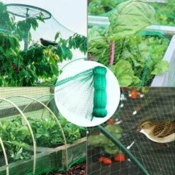 PERLE RARE 4 X 6 M Vert Oiseau Filet Filet De Bassin De Jardin Pour Plantes Maille Filet De Protection -Protection Pour Végétaux Soldes 55029535 4