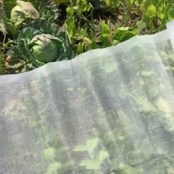 BRIDAY Filet Anti-Insectes Végétal, Filet En Nylon Anti-Insectes épaissi De 60 Mailles Pour Serre D'arbres Fruitiers Empêchant Les Parasites Et Les Maladies Pour Protéger La Croissance Des Légumes 2.5*10m -Protection Pour Végétaux Soldes 55389786 5