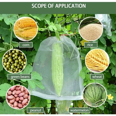 BRIDAY Lot De 100 Sacs De Protection Pour Fruits - Filet à Insectes Pour Arbres Fruitiers - Sacs En Maille Avec Cordon De Serrage Pour Protéger Les Tomates, Raisins, Mangues (25,4 X 15,2 Cm) 4 BRIDAY Lot De 100 Sacs De Protection Pour Fruits - Filet à Insectes Pour Arbres Fruitiers - Sacs En Maille Avec Cordon De Serrage Pour Protéger Les Tomates, Raisins, Mangues (25,4 X 15,2 Cm) – Image 2