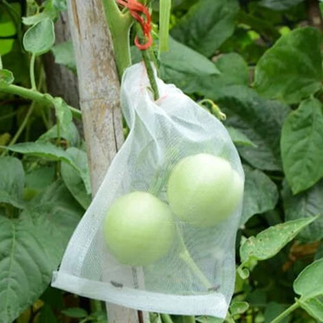 BRIDAY Lot De 100 Sacs De Protection Pour Fruits - Filet à Insectes Pour Arbres Fruitiers - Sacs En Maille Avec Cordon De Serrage Pour Protéger Les Tomates, Raisins, Mangues (25,4 X 15,2 Cm) 5 BRIDAY Lot De 100 Sacs De Protection Pour Fruits - Filet à Insectes Pour Arbres Fruitiers - Sacs En Maille Avec Cordon De Serrage Pour Protéger Les Tomates, Raisins, Mangues (25,4 X 15,2 Cm) – Image 3