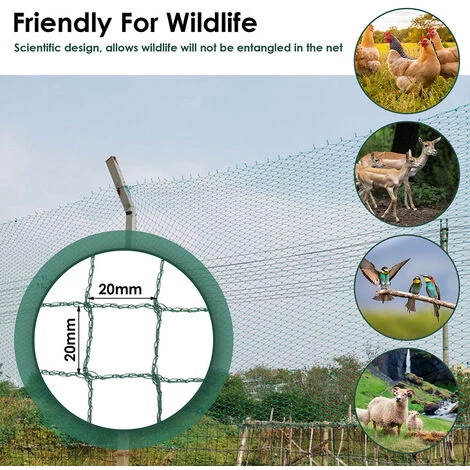 VINGO Filet D'étang 8x25M Filet De Bassin Filet De Jardin Vert Filet Anti-o Filet De Couverture D'étang De Jardin Filet Maille Protéger - Vert 5 VINGO Filet D'étang 8x25M Filet De Bassin Filet De Jardin Vert Filet Anti-o Filet De Couverture D'étang De Jardin Filet Maille Protéger - Vert – Image 3