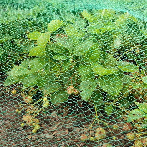 VINGO Filet D'étang 8x25M Filet De Bassin Filet De Jardin Vert Filet Anti-o Filet De Couverture D'étang De Jardin Filet Maille Protéger - Vert 6 VINGO Filet D'étang 8x25M Filet De Bassin Filet De Jardin Vert Filet Anti-o Filet De Couverture D'étang De Jardin Filet Maille Protéger - Vert – Image 4