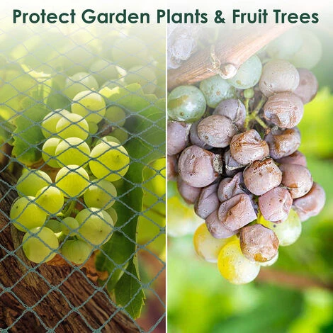 VINGO Filet D'étang 8x25M Filet De Bassin Filet De Jardin Vert Filet Anti-o Filet De Couverture D'étang De Jardin Filet Maille Protéger - Vert 7 VINGO Filet D'étang 8x25M Filet De Bassin Filet De Jardin Vert Filet Anti-o Filet De Couverture D'étang De Jardin Filet Maille Protéger - Vert – Image 5