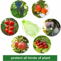 CADEAUX 50 Pièces Sac De Protection De Grappes De Raisins, Sac En Organza Des Fruits Avec Cordons Donne Protection Totale Contre Les Guêpes Les Oiseaux Et Autres Insectes (30 X 20 Cm, Vert Mousse) -Protection Pour Végétaux Soldes 55529374 4