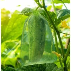 CADEAUX 50 Pièces Sac De Protection De Grappes De Raisins, Sac En Organza Des Fruits Avec Cordons Donne Protection Totale Contre Les Guêpes Les Oiseaux Et Autres Insectes (30 X 20 Cm, Vert Mousse) -Protection Pour Végétaux Soldes 55529374 5