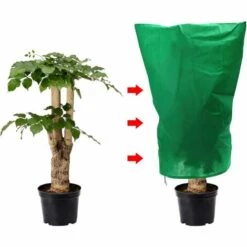 Fei Yu Housse De Protection Des Plantes, 2 Pièces Vert Sac De Réchauffement Des Plantes D'hiver, Housse De Protection Contre Le Gel Avec Cordon De Serrage Pour Fleurs D'extérieur Et Arbustes (80x100 CM ) 10 Fei Yu Housse De Protection Des Plantes, 2 Pièces Vert Sac De Réchauffement Des Plantes D'hiver, Housse De Protection Contre Le Gel Avec Cordon De Serrage Pour Fleurs D'extérieur Et Arbustes (80x100 CM ) -Protection Pour Végétaux Soldes 55599673 4